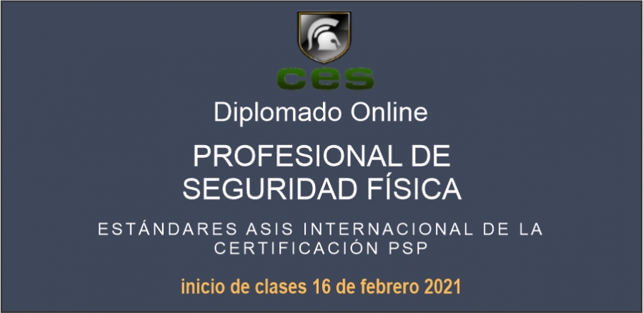 Diplomado Online: Profesional de Seguridad Física